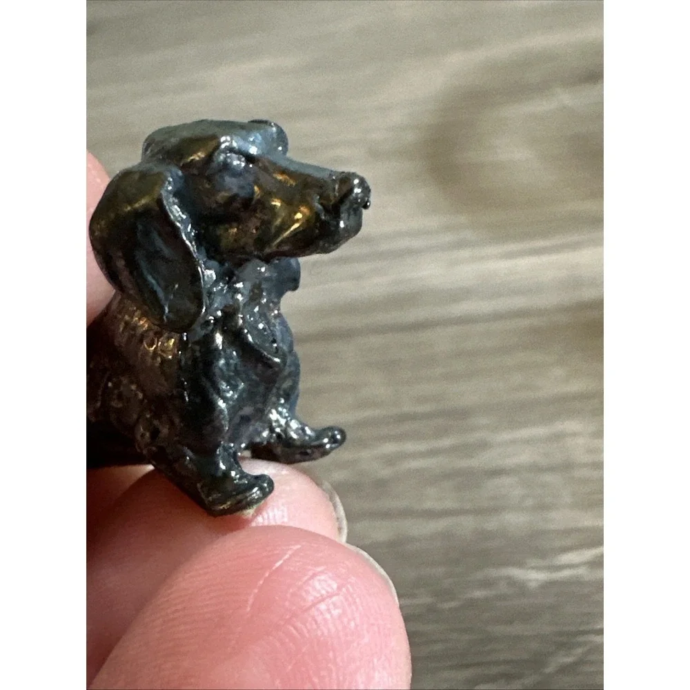 N/A miniature dachshund